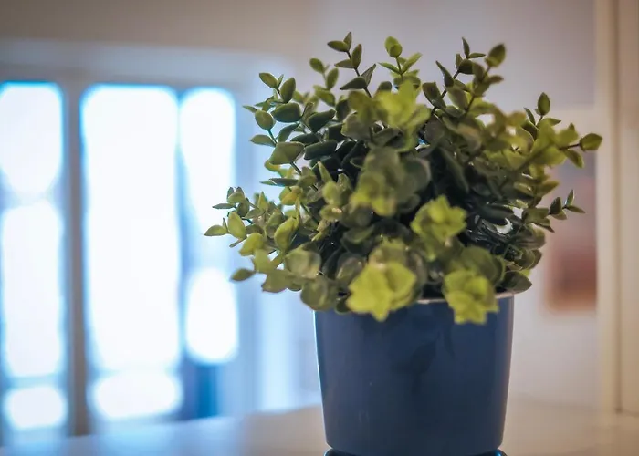 Jlh Aparts - Just Like Apartment Bari