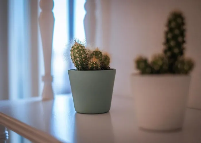 Apartamento Jlh Aparts - Just Like