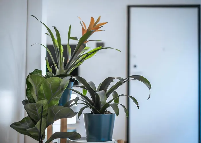 Jlh Aparts - Just Like Apartamento *