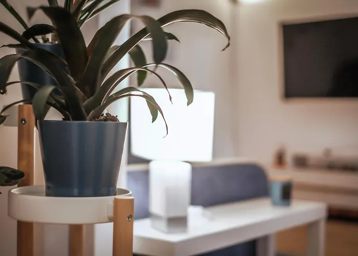 Jlh Aparts - Just Like Apartamento *