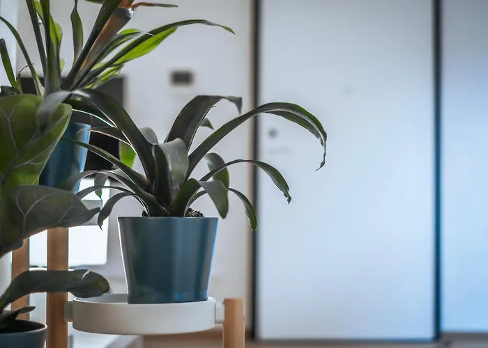 Apartamento Jlh Aparts - Just Like *