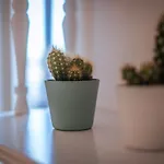 Apartament Jlh Aparts - Just Like
