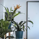 Jlh Aparts - Just Like Apartament *