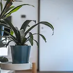 Apartment Jlh Aparts - Just Like *