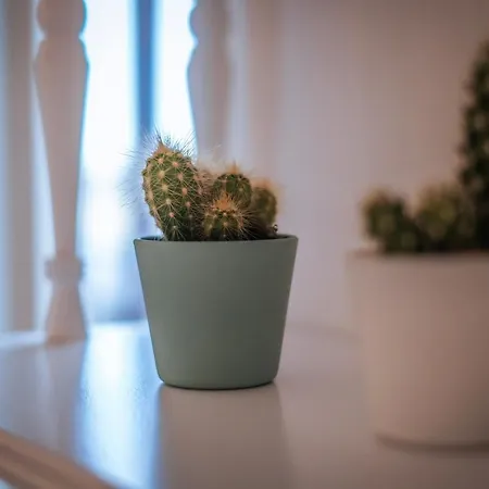 Apartmán Jlh Aparts - Just Like